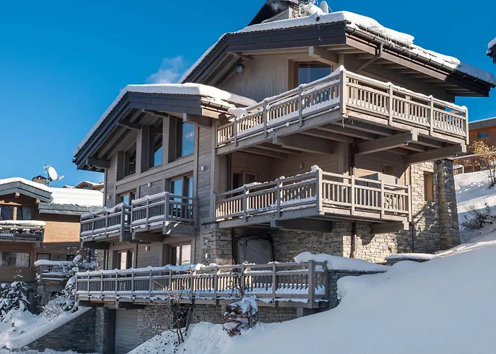 De Luxe A Avec Jacuzzi Et Cheminee - Fr-1-563-30 木屋 *